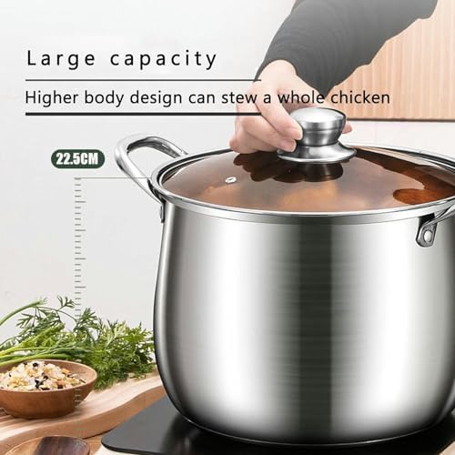 Stainless Steel Steamer Pot with Insert Basket and Lid