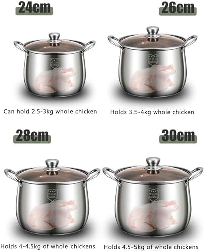 Stainless Steel Steamer Pot with Insert Basket and Lid