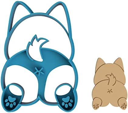 Corgis Best Friend