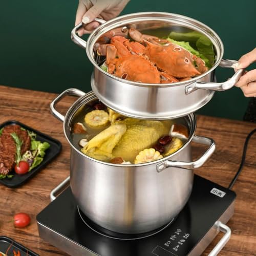 Steam Pot 304 Stainless Steel Professional Grade 92L Multurpose Cookware with Handle