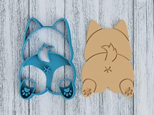 Corgis Best Friend