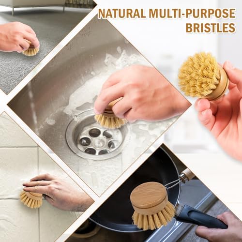 Eco-Friendly 6Pcs Bamboo Dish Brush Set