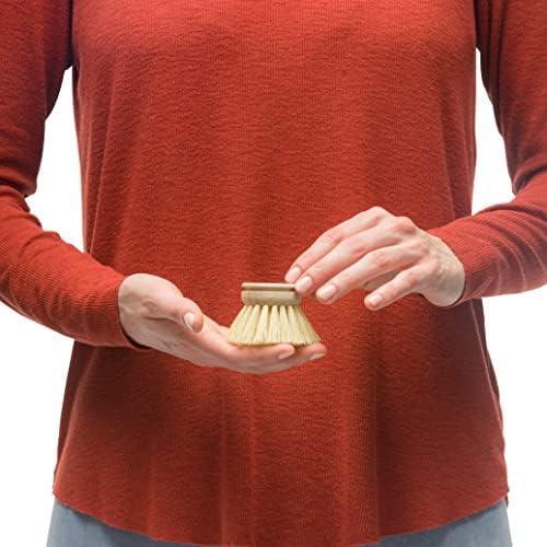 REDECKER Natural Dish Brush Replacement Heads Set of 2
