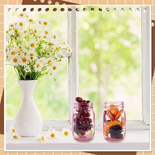 Perfectly PINK 12-Piece Mason Jar Set for Kitchen Craft DIY