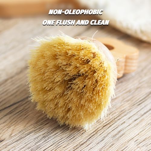SHINCULSUN Natural Beechwood Dish Brush with Handle