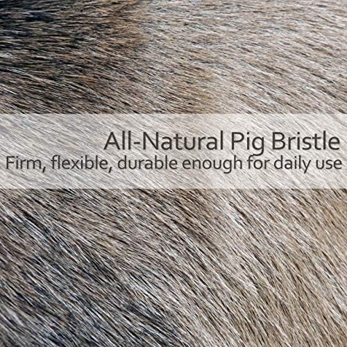 Redecker Natural Pig Bristle Soda Bottle Brush 1175 Inches